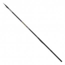 Canna Daiwa 23 Bolo...