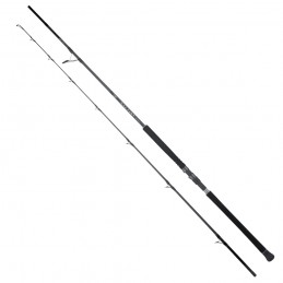 Canna Daiwa 25 Saltist SX...