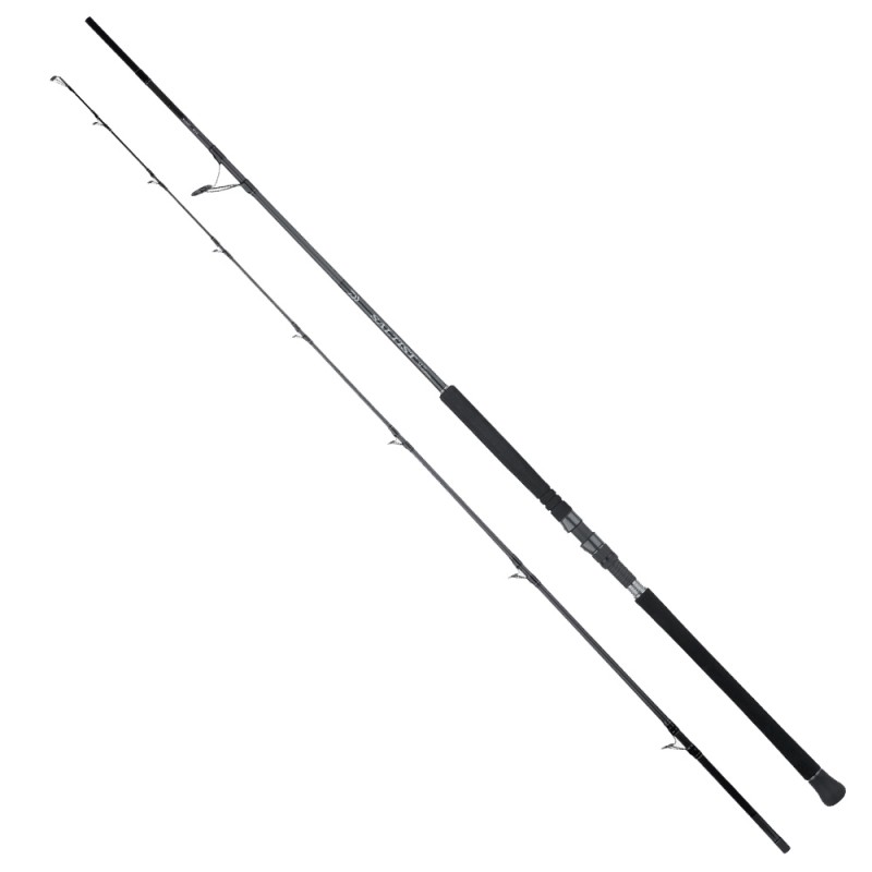 Canna Daiwa 25 Saltist SX Jig Special 95H 2.87mt