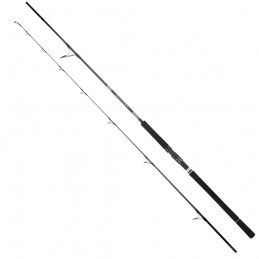Canna Daiwa 25 Saltist X SJ...