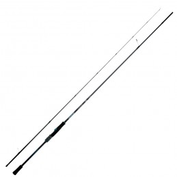Canna Daiwa 25 Emeraldas X...