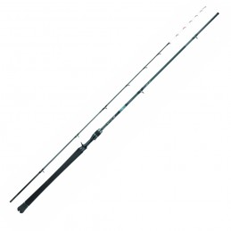 Canna Daiwa 25 Emeraldas...