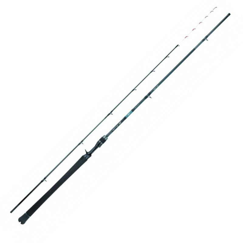 Canna Daiwa 25 Emeraldas Tataki Casting 7112MBS-AI