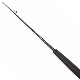 Canna Daiwa 26 Saltist X...