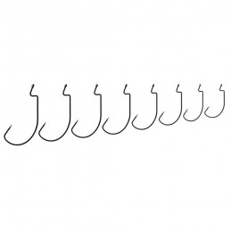 Ami Nomura Carolina Worm
