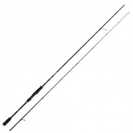 Canna Spanish Lures Gloria