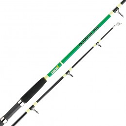 Canna Sugoi Argus