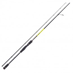 Canna Str Kinetic Spinning