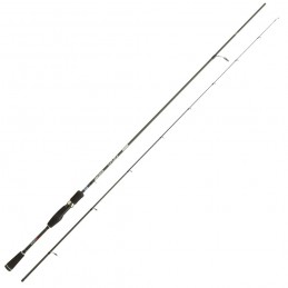 Canna Akami Dentex