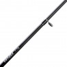 Canna Akami Dentex
