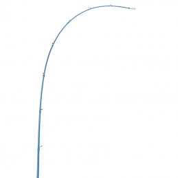 Canna Akami Yume