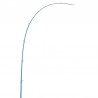 Canna Akami Yume