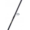 Canna Akami Toyama