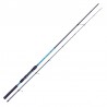 Canna Str Oriental Spin