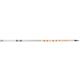 Canna Sele Galaxy