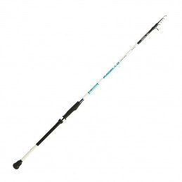 Canna Sele Pagello