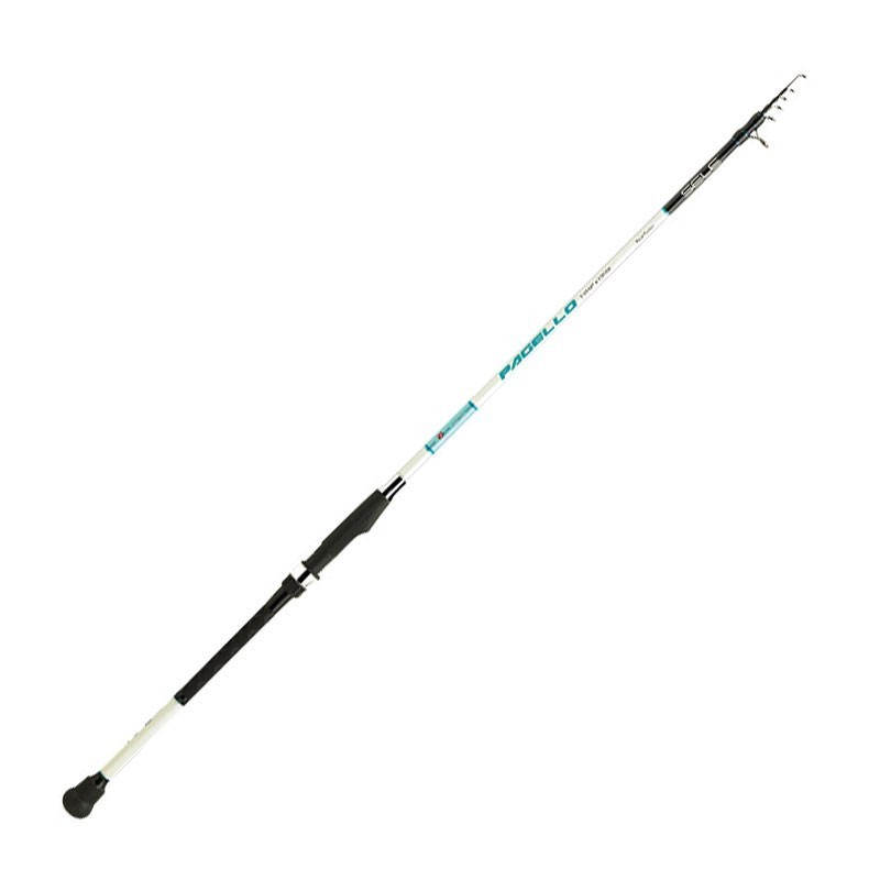 Canna Sele Pagello