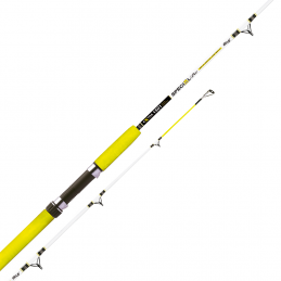 Canna Sele Special Boat
