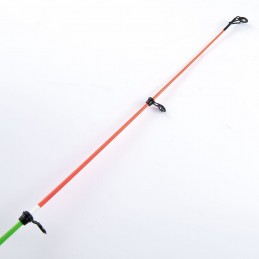 Canna Sele Oceanic
