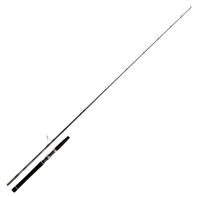 Canna Daiwa Saltist Inshore Spinning