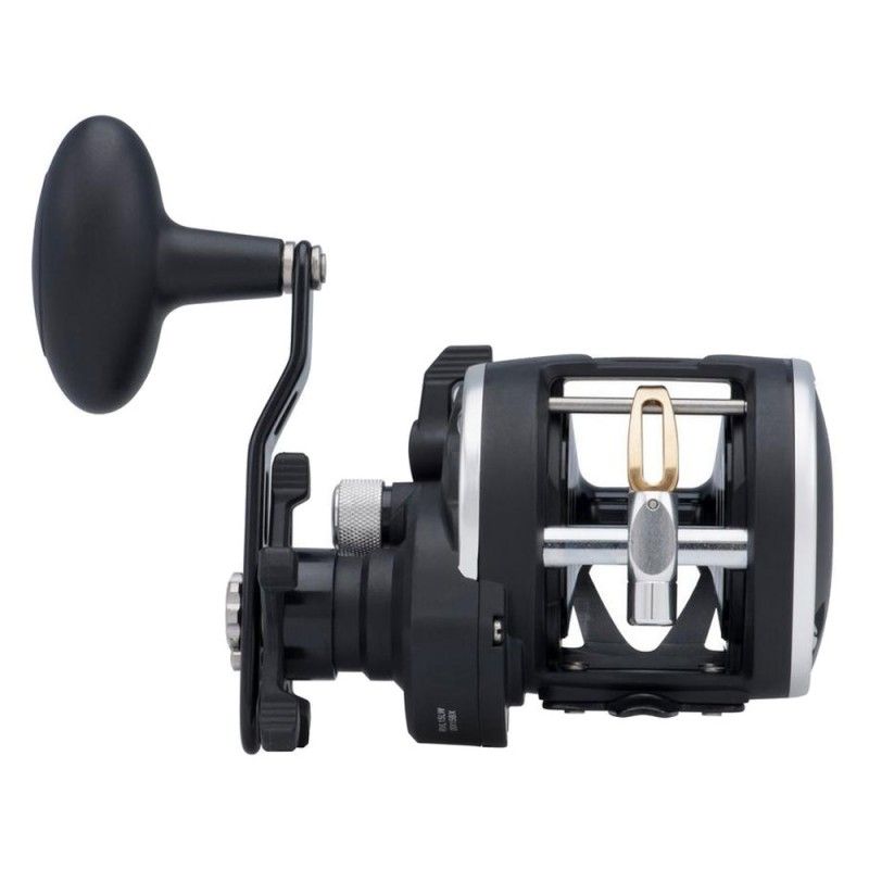 Mulinello Penn Rival Level Wind Traina